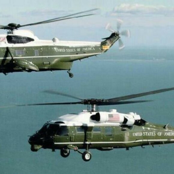 Meet your Posher, William - Picture 7 of 16